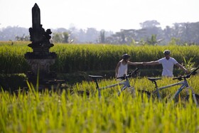 The Samaya Ubud Bali