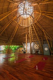 The Udaya Resorts and Spa