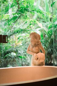 The Udaya Resorts and Spa
