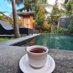 Ubud Mesari Private Pool Villa