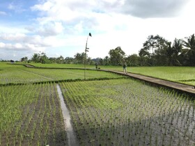 Uma Chaming Villas & Gym