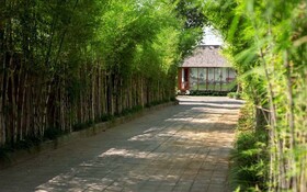 Villa Aprikot Ubud