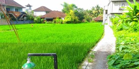 Yam House Ubud
