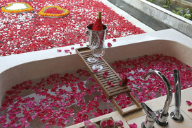 Alam Boutique Villa