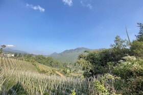 Villa 325 Maribaya
