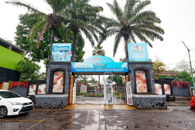 New Bandungan Indah by OYO Rooms