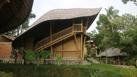 The Osing Bamboo - A Liberta Collection