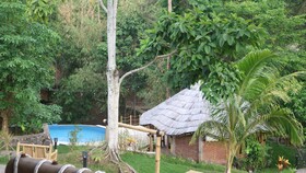 The Osing Bamboo - A Liberta Collection