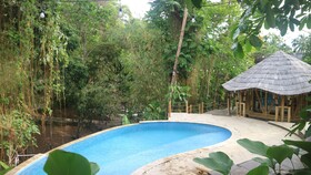 The Osing Bamboo - A Liberta Collection