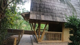 The Osing Bamboo - A Liberta Collection