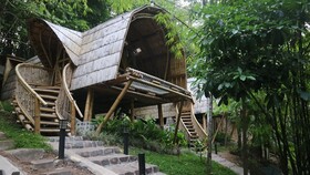 The Osing Bamboo - A Liberta Collection