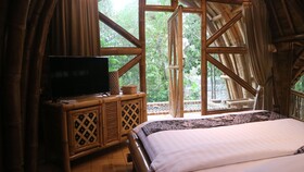 The Osing Bamboo - A Liberta Collection