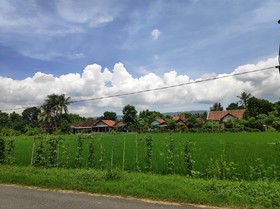 Narti Homestay