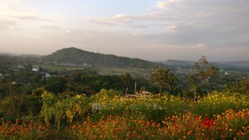 Pangol Hill Camp Center