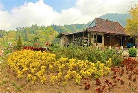 Pangol Hill Camp Center