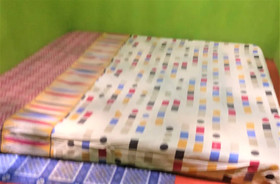 Sor Sawo Krebet Homestay