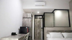D'Paragon Beo