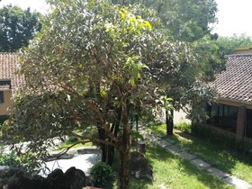 Hotel Alamanda