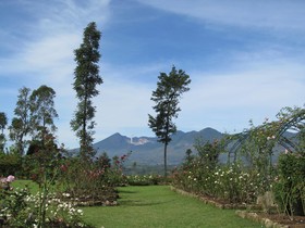 Kebun Mawar Situhapa Hotel