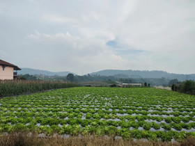 Villa Lembang Bunda