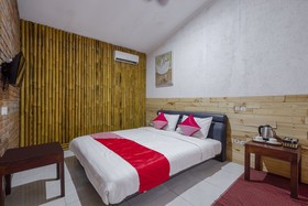 Alea Guesthouse by OYO Rooms
