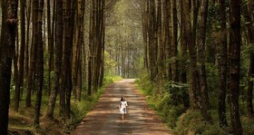 Atria Hotel and Conference Magelang