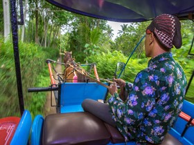 Rumah Boedi Private Residence