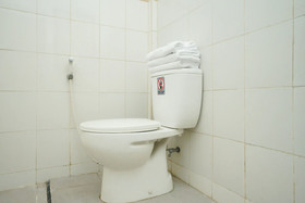 Female Guest House by OYO Rooms