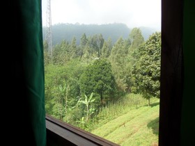 Istana Petani Homestay