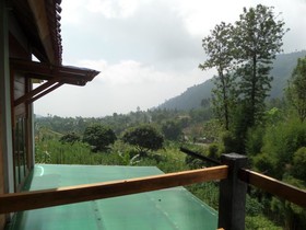 Istana Petani Homestay