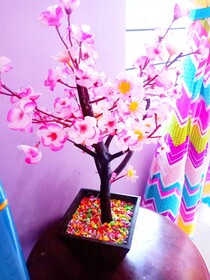 Kost Harian Semarang Murah