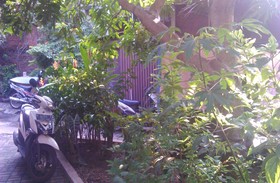 Kost Semarang Peterongan Timur