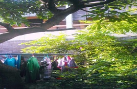 Kost Semarang Peterongan Timur