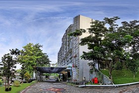 Oak Tree Emerald Semarang