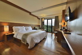 Oak Tree Emerald Semarang