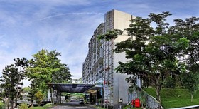 Oak Tree Emerald Semarang