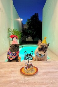 Floraison Living Villa