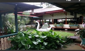 Hotel Rafflesia by OYO Rooms