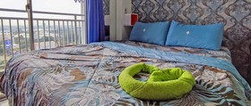 Anta Room at Apartment Springwood