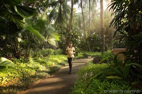 Aryaduta Lippo Village