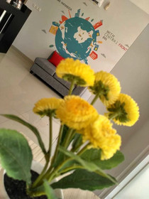 Central Front One Inn Jakarta Airport