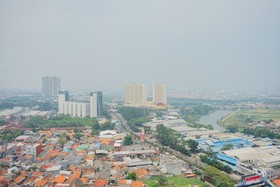 Montsera by TreePark City