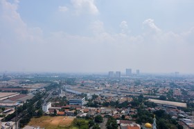 Montsera by TreePark City