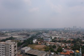 Montsera by TreePark City