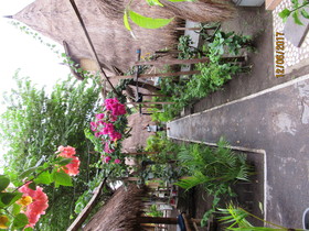 Fantastic Hostel Gili
