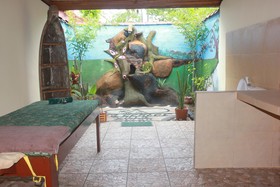 Villa Bulan Madu - Gili Air