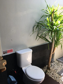 Alexyane Paradise Bungalow
