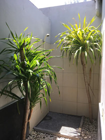 Alexyane Paradise Bungalow