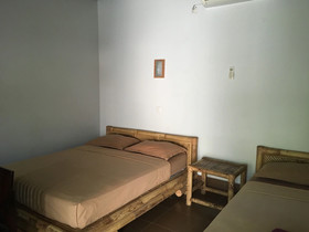 Alexyane Paradise Bungalow