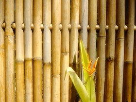 Baleku Guest House - Gili Trawangan